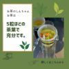 キキョウ茶 韓国茶 健康茶