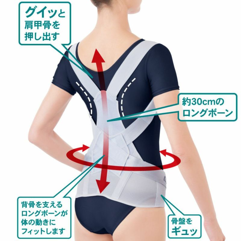 お医者さんのがっちり背すじベルト