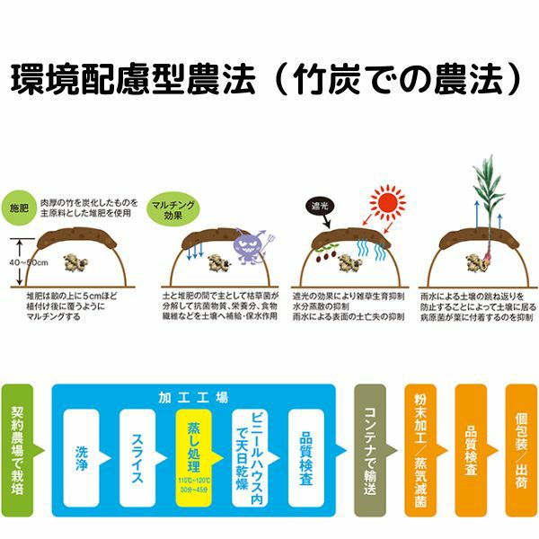 蒸し金時生姜 粉末 100g 日本製 末