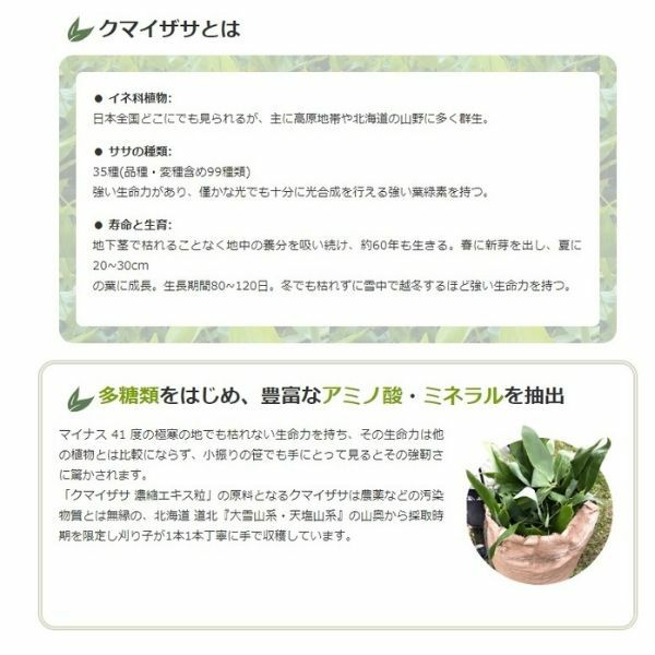 クマイザサ濃縮エキス粒　100粒 茶々 サプリメント