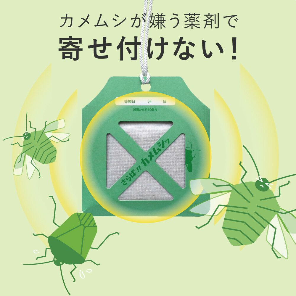 カメムシ　STOP！