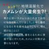 カメムシ　STOP！