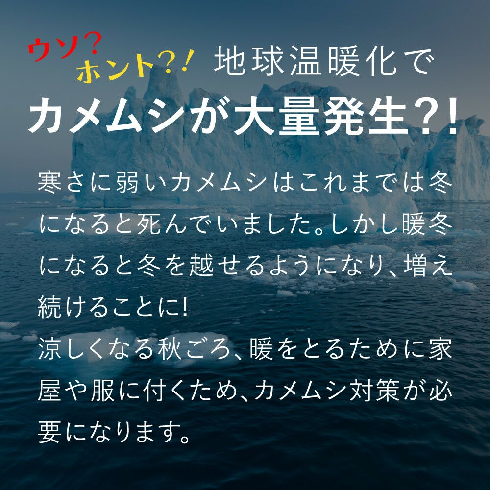 カメムシ　STOP！