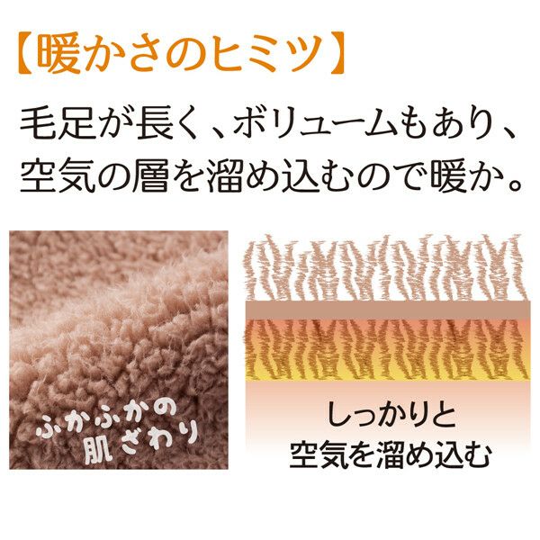  極暖ブランケット 大判 あったかグッズ