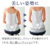 お医者さんの円座クッション リバーシブルカバー仕様