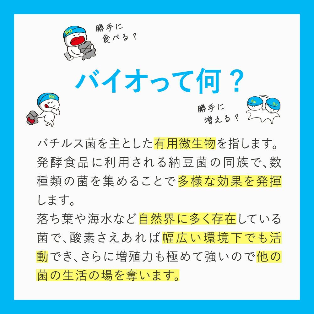 ズボラ上等 トイレ用 日本製