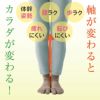 ハピラボ 体幹学べるフットサポーター 日本製
