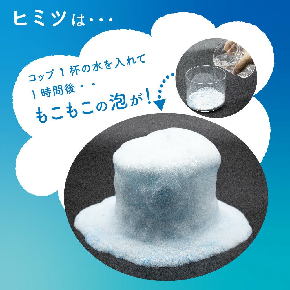 排水口洗浄剤 泡ラク 4包入